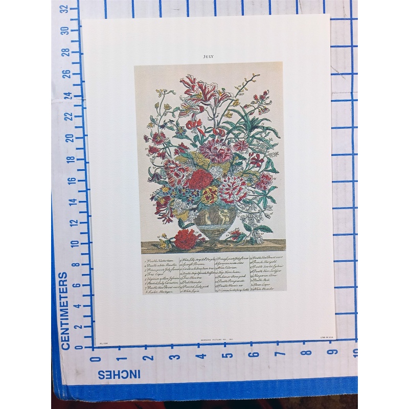 Lot of 12 Art Prints 9 x 12 Flowers of the Month
