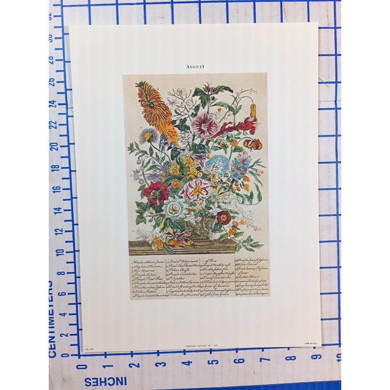 Lot of 12 Art Prints 9 x 12 Flowers of the Month