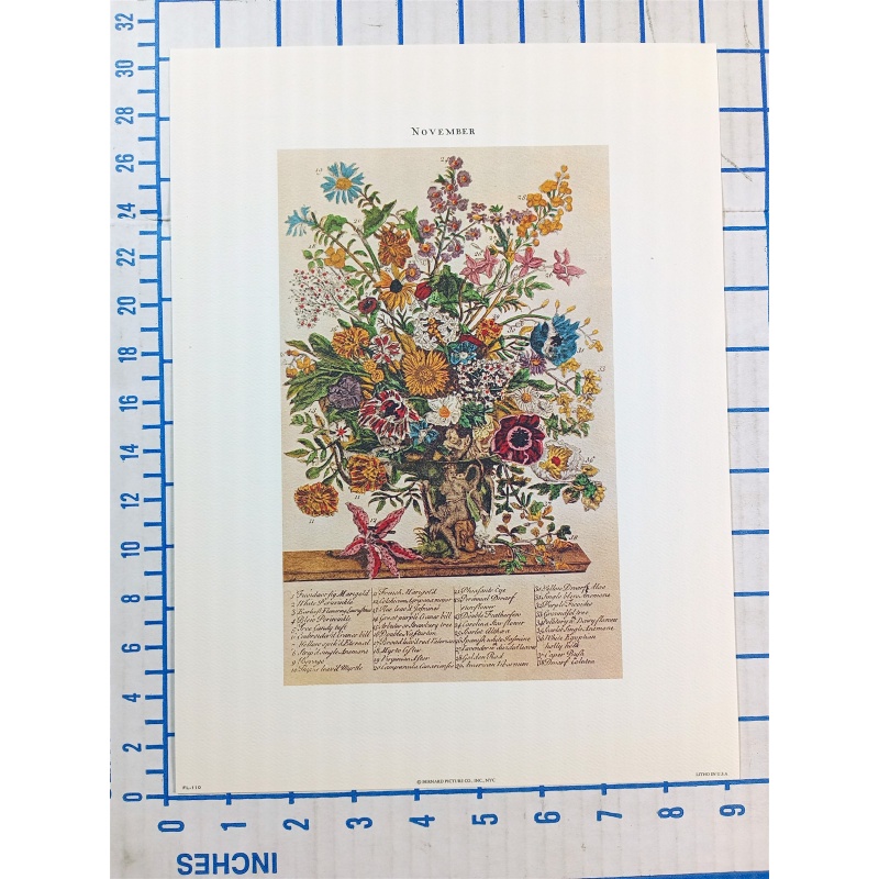 Lot of 12 Art Prints 9 x 12 Flowers of the Month