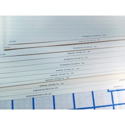 Lot of 12 Art Prints 9 x 12 Flowers of the Month