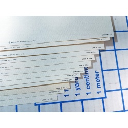 Lot of 12 Art Prints 9 x 12 Flowers of the Month