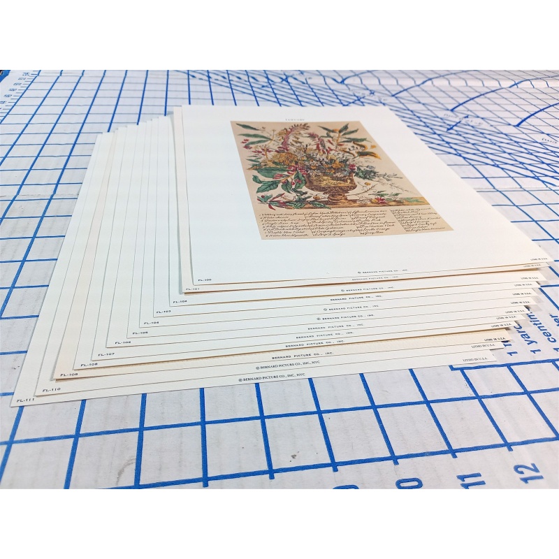 Lot of 12 Art Prints 9 x 12 Flowers of the Month