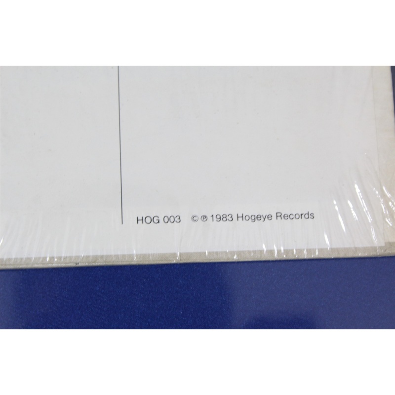 Cindy Mangsen Long Time Traveling HOG 003 Vinyl LP, Album