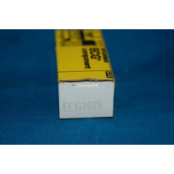 ECG1078  ~ ECG COMPONENT