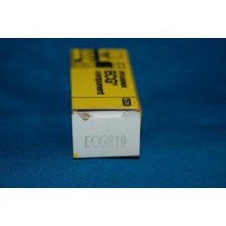 ECG819  ~ ECG COMPONENT