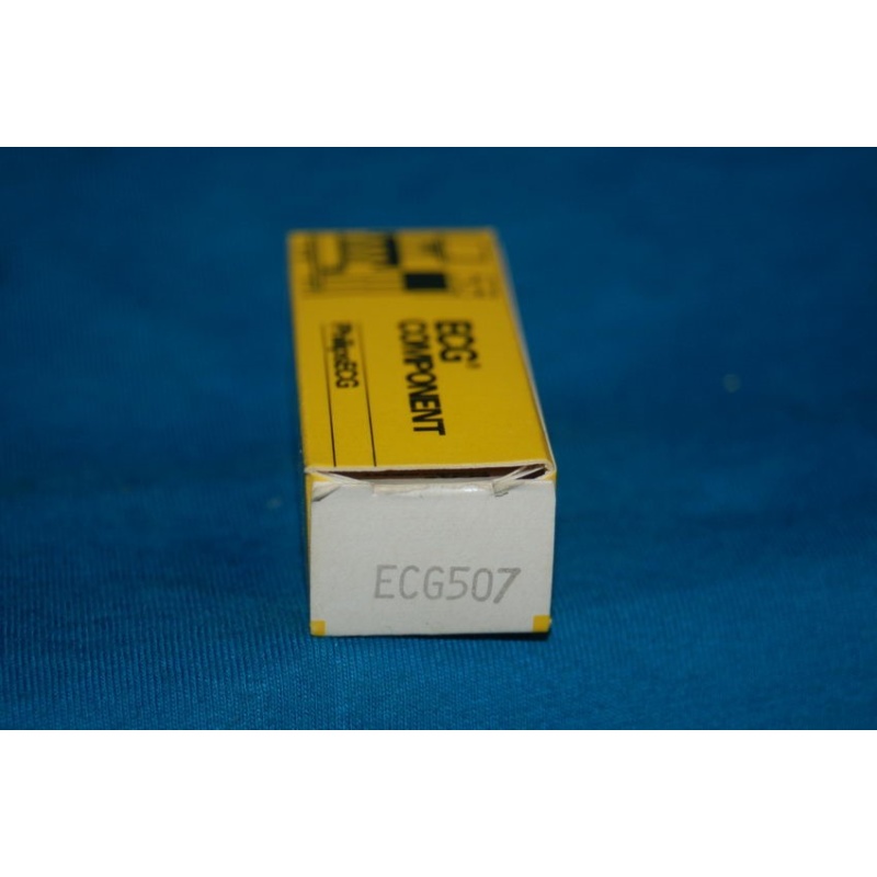 ECG507  ~ ECG COMPONENT