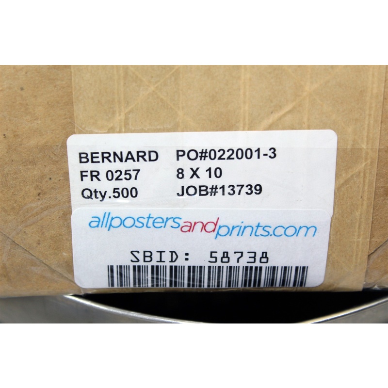 8" x 10" ART Prints Inventory Bulk Lot # 58738