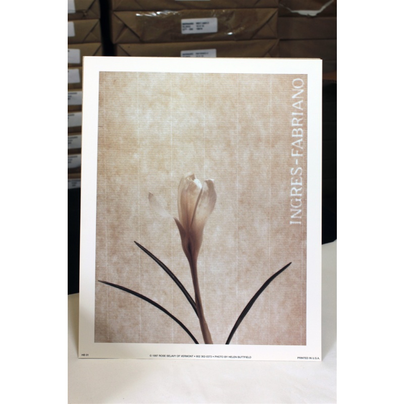 8" x 10" ART Prints Inventory Bulk Lot # 58739