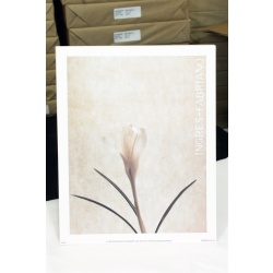 8" x 10" ART Prints Inventory Bulk Lot # 58739