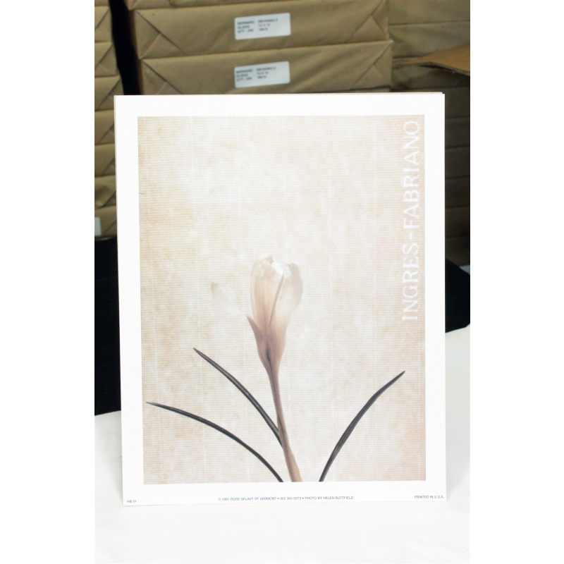 8" x 10" ART Prints Inventory Bulk Lot # 58739