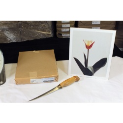 8" x 10" ART Prints Inventory Bulk Lot # 58744