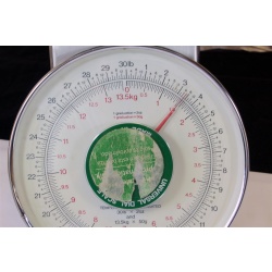 8" x 10" ART Prints Inventory Bulk Lot # 58749