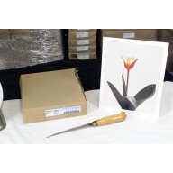 8" x 10" ART Prints Inventory Bulk Lot # 58755