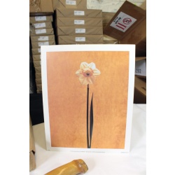 8" x 10" ART Prints Inventory Bulk Lot # 58757