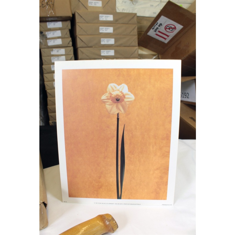 8" x 10" ART Prints Inventory Bulk Lot # 58757