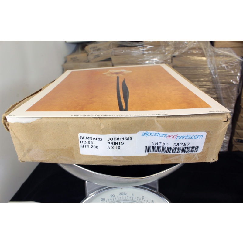 8" x 10" ART Prints Inventory Bulk Lot # 58757