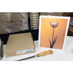 8" x 10" ART Prints Inventory Bulk Lot # 58760