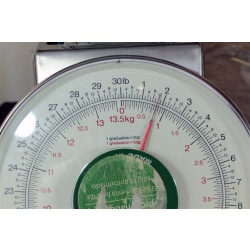 11"x14" ART Prints Inventory Bulk Lot # 58780