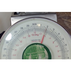 Sample -11"x14" ART Prints Inventory Bulk Lot # 58781