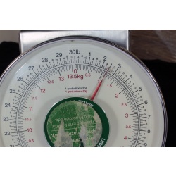 5"x5" ART Prints Inventory Bulk Lot # 58787