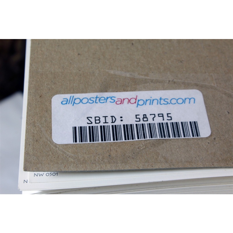 8"x20" ART Prints Inventory Bulk Lot # 58795