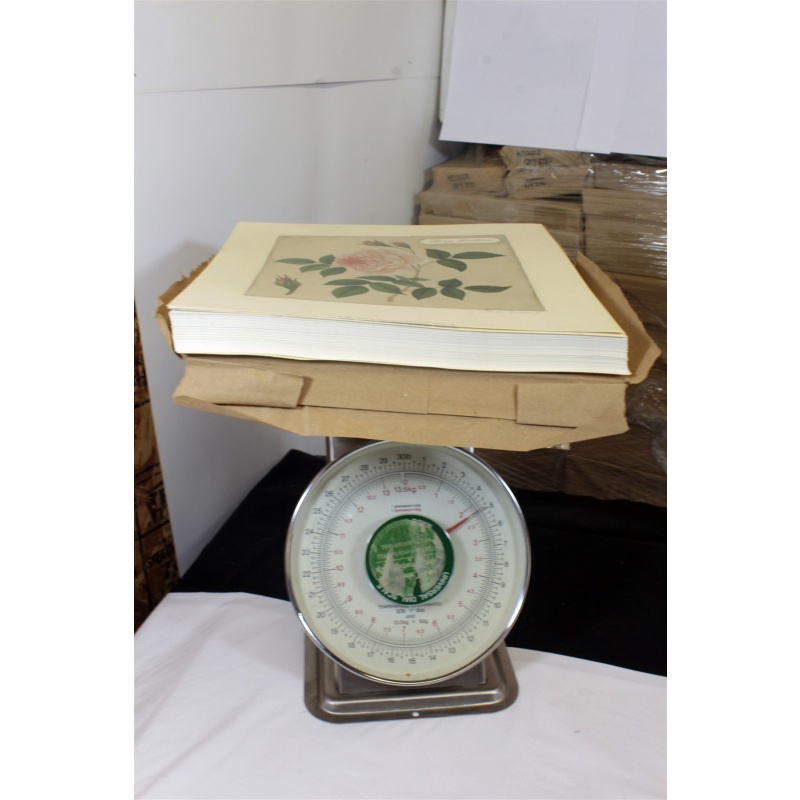 Sample -12"x12" ART Prints Inventory Bulk Lot # 58811