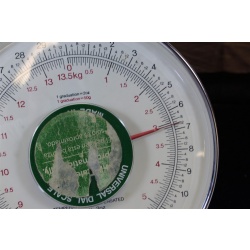 12" x 10" ART Prints Inventory Bulk Lot # 58816