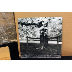 8" x 8" ART Prints Inventory Bulk Lot # 58825