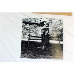 8" x 8" ART Prints Inventory Bulk Lot # 58825