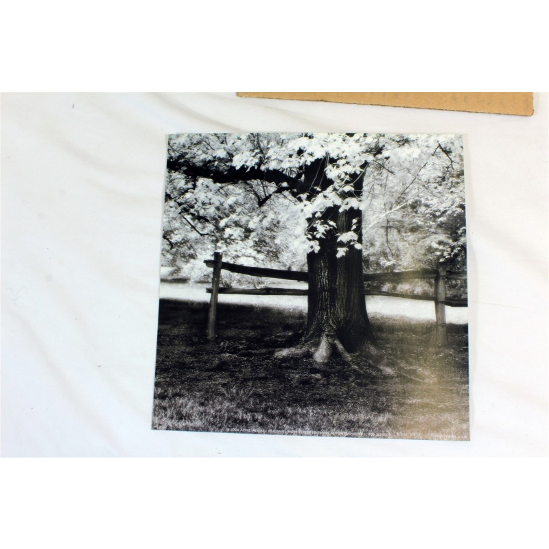 8" x 8" ART Prints Inventory Bulk Lot # 58825