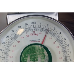 8" x 8" ART Prints Inventory Bulk Lot # 58825