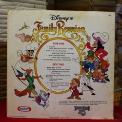 Unknown Artist Disneys Family Reunion 3516 Vinyl Vinyl 59-040