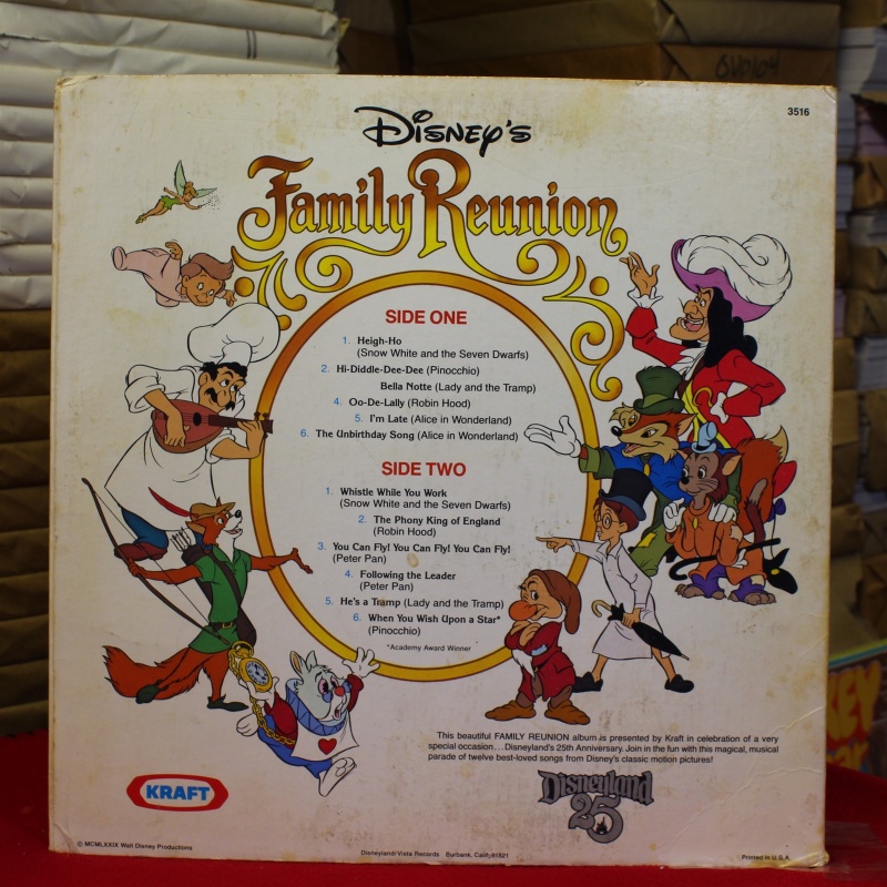 Unknown Artist Disneys Family Reunion 3516 Vinyl Vinyl 59-040