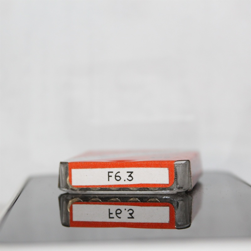 SENECA F 6-3/10 AMP 250V 6.3A GLASS FUSES - PACK OF 5