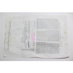 1959 Studebaker-Packard Corporation Stock Certificate 50 Shares Y0202989