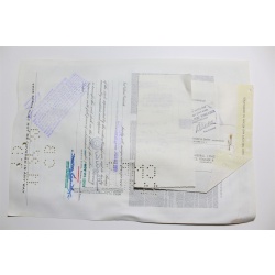 1959 Studebaker-Packard Corporation Stock Certificate 50 Shares Y0202282