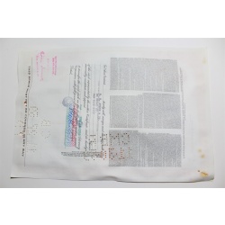 1959 Studebaker-Packard Corporation Stock Certificate 10 Shares P02138