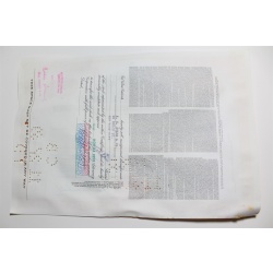 1959 Studebaker-Packard Corporation Stock Certificate 10 Shares P02143