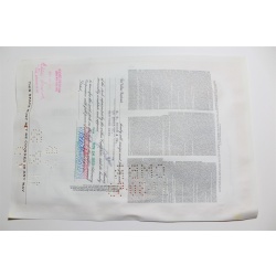 1959 Studebaker-Packard Corporation Stock Certificate 10 Shares P02149