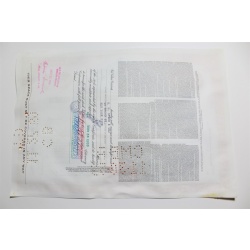 1959 Studebaker-Packard Corporation Stock Certificate 10 Shares P02166