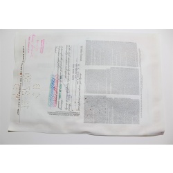 1959 Studebaker-Packard Corporation Stock Certificate 10 Shares P02181