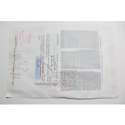 1959 Studebaker-Packard Corporation Stock Certificate 10 Shares P02314