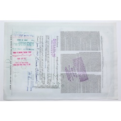 1958 Studebaker-Packard Corporation Stock Certificate - Y205195 - 100 Shares