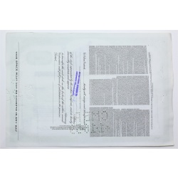 1958 Studebaker-Packard Corporation Stock Certificate - Y190624 - 100 Shares