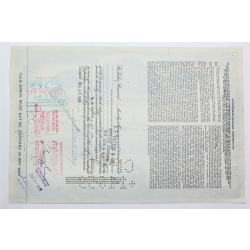 1955 Studebaker-Packard Corporation Stock Certificate - Y59913 - 100 Shares