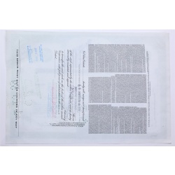 1958 Studebaker-Packard Corporation Stock Certificate - Y204682 - 100 Shares