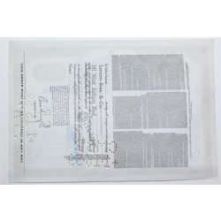 1959 Studebaker-Packard Corporation Stock Certificate - Y0160133 - 10 Shares