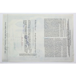 1954 Studebaker-Packard Corporation Stock Certificate - P028256 - 20 Shares