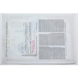 1958 Studebaker-Packard Corporation Stock Certificate - Y0158260 - 5 Shares