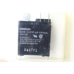OEM PANASONIC AEAWG4WER100 POWER RELAY NR19326-01